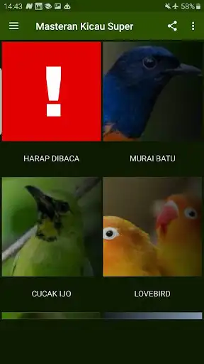 Play Suara Murai, Prenjak, Cucak Ijo, Lovebird, Kecer as an online game Suara Murai, Prenjak, Cucak Ijo, Lovebird, Kecer with UptoPlay