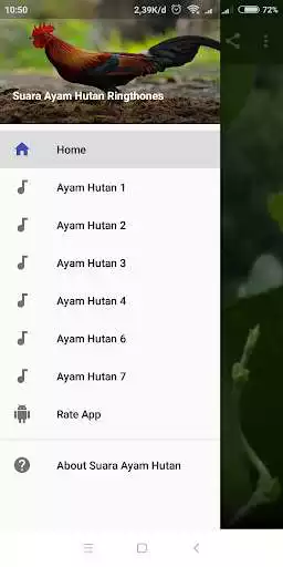 Play Suara Panggil Ayam Hutan Terbaru as an online game Suara Panggil Ayam Hutan Terbaru with UptoPlay