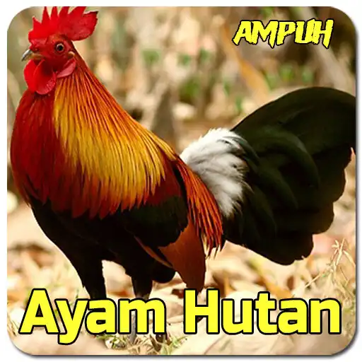 Play Suara Pemikat Ayam Hutan Ampuh APK