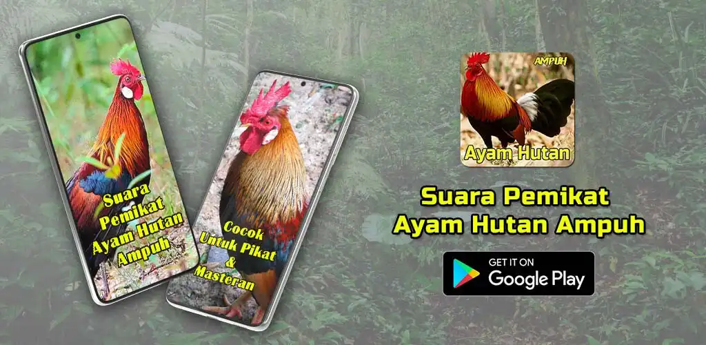 Play Suara Pemikat Ayam Hutan Ampuh  and enjoy Suara Pemikat Ayam Hutan Ampuh with UptoPlay