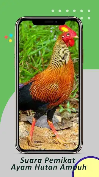 Play Suara Pemikat Ayam Hutan Ampuh as an online game Suara Pemikat Ayam Hutan Ampuh with UptoPlay
