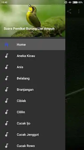 Play Suara Pemikat Burung Liar Ampuh  and enjoy Suara Pemikat Burung Liar Ampuh with UptoPlay