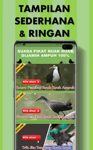 Play Suara Pemikat Ruak Ruak Ampuh as an online game Suara Pemikat Ruak Ruak Ampuh with UptoPlay