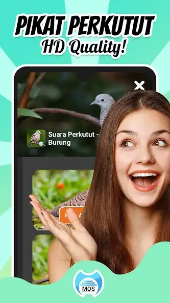 Play Suara Perkutut - Pikat Burung  and enjoy Suara Perkutut - Pikat Burung with UptoPlay
