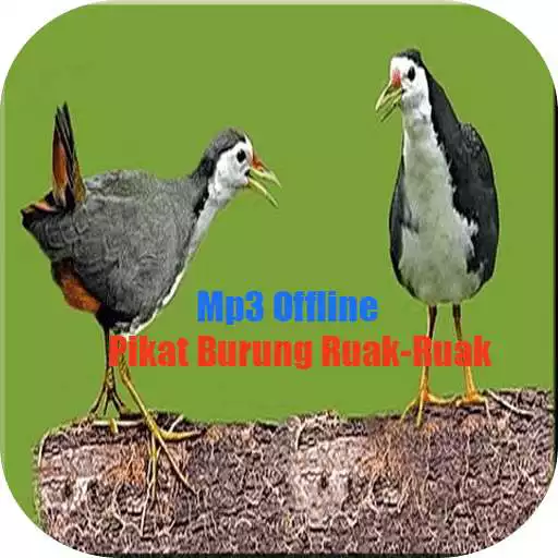Free play online Suara Pikatan Burung Ruak-Ruak APK Free play online Suara Pikatan Burung Ruak-Ruak APK