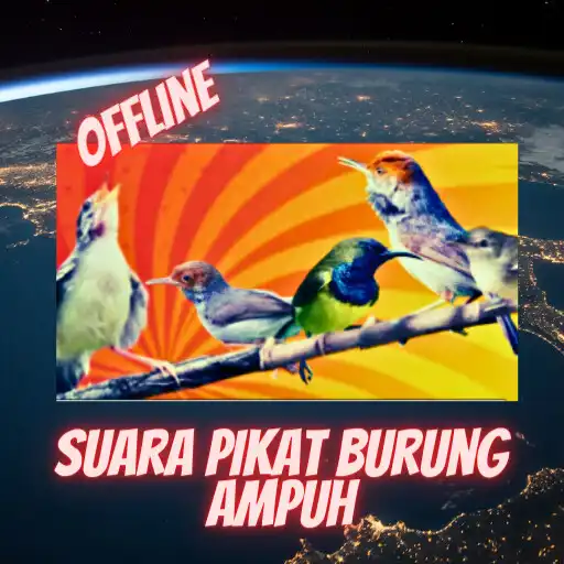 Play suara pikat burung ampuh APK
