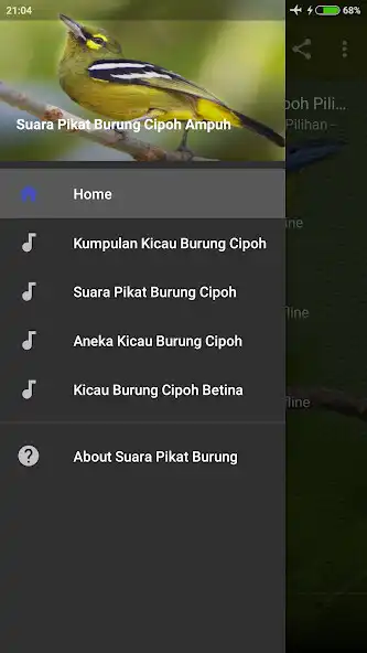 Play Suara Pikat Burung Cipoh Ampuh  and enjoy Suara Pikat Burung Cipoh Ampuh with UptoPlay