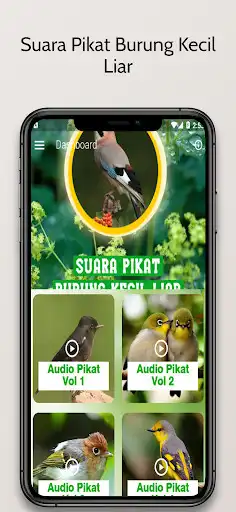 Play Suara Pikat Burung Kecil Liar and enjoy Suara Pikat Burung Kecil Liar with UptoPlay Play Suara Pikat Burung Kecil Liar and enjoy Suara Pikat Burung Kecil Liar with UptoPlay