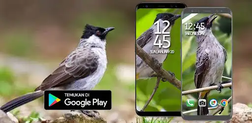 Play Suara Pikat Burung Kutilang  and enjoy Suara Pikat Burung Kutilang with UptoPlay
