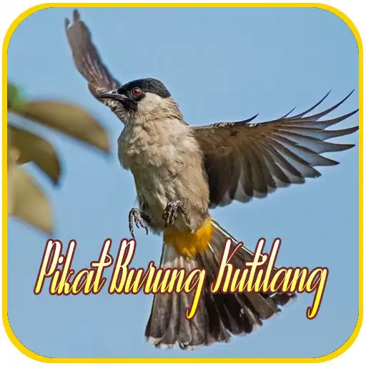 Play Suara Pikat Burung Kutilang as an online game Suara Pikat Burung Kutilang with UptoPlay