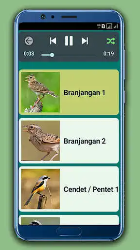Play Suara Pikat Burung Offline as an online game Suara Pikat Burung Offline with UptoPlay