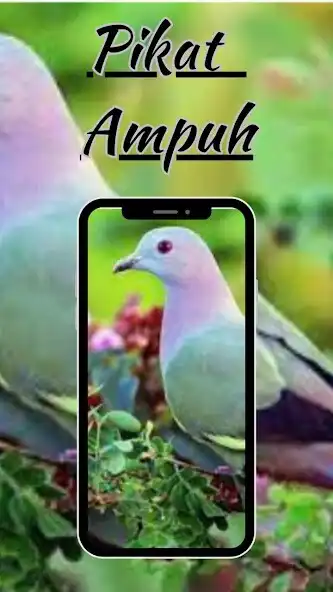 Play Suara Pikat Burung Punai Mp3 as an online game Suara Pikat Burung Punai Mp3 with UptoPlay