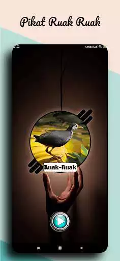 Play Suara Pikat Burung Ruak Ruak  and enjoy Suara Pikat Burung Ruak Ruak with UptoPlay