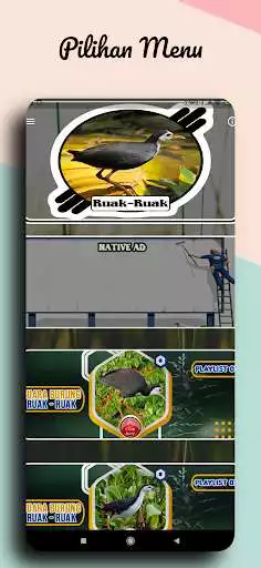 Play Suara Pikat Burung Ruak Ruak as an online game Suara Pikat Burung Ruak Ruak with UptoPlay