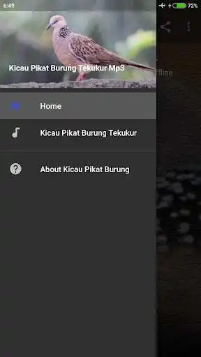 Play Suara Pikat Burung Tekukur Mp3  and enjoy Suara Pikat Burung Tekukur Mp3 with UptoPlay
