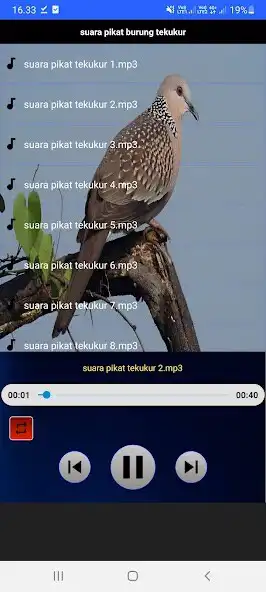 Play Suara pikat burung tekukur as an online game online Suara pikat burung tekukur with UptoPlay Play Suara pikat burung tekukur as an online game Suara pikat burung tekukur with UptoPlay