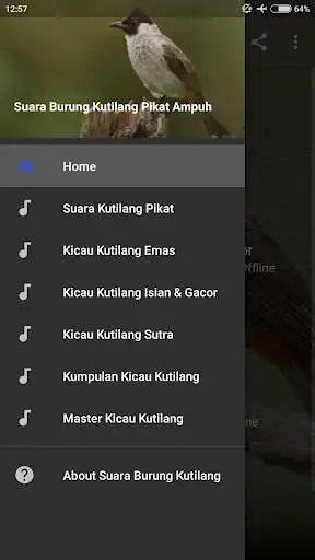 Play Suara Pikat Kutilang Ampuh  and enjoy Suara Pikat Kutilang Ampuh with UptoPlay
