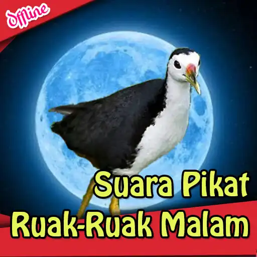 Play Suara Pikat Ruak Ruak Malam APK Play Suara Pikat Ruak Ruak Malam APK