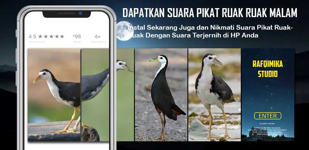 Play Suara Pikat Ruak Ruak Malam  and enjoy Suara Pikat Ruak Ruak Malam with UptoPlay