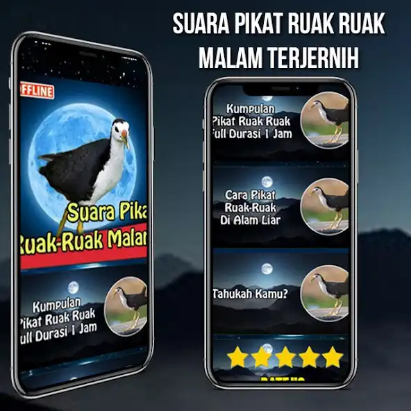 Play Suara Pikat Ruak Ruak Malam as an online game Suara Pikat Ruak Ruak Malam with UptoPlay