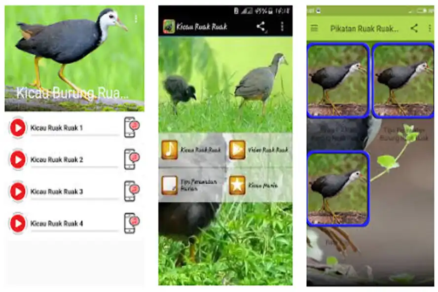 Play Suara Pikat Ruak Ruak as an online game Suara Pikat Ruak Ruak with UptoPlay