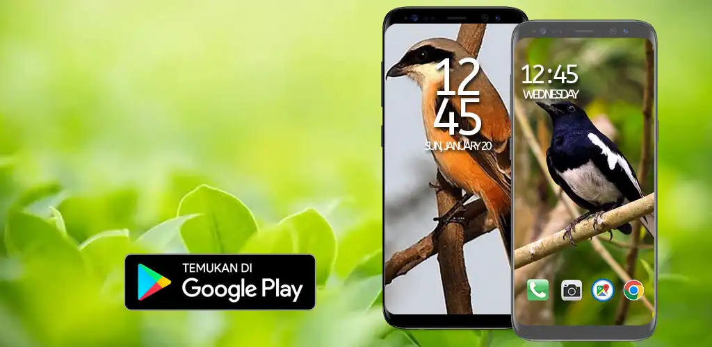 Play Suara Pikat Semua Burung  and enjoy Suara Pikat Semua Burung with UptoPlay