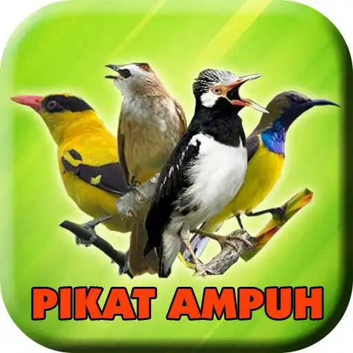Play Suara Pikat Semua Jenis Burung Ampuh APK Play Suara Pikat Semua Jenis Burung Ampuh APK