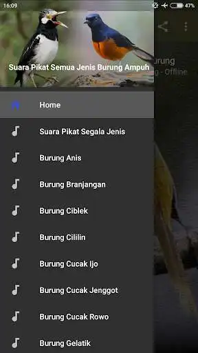 Play Suara Pikat Semua Jenis Burung Ampuh  and enjoy Suara Pikat Semua Jenis Burung Ampuh with UptoPlay