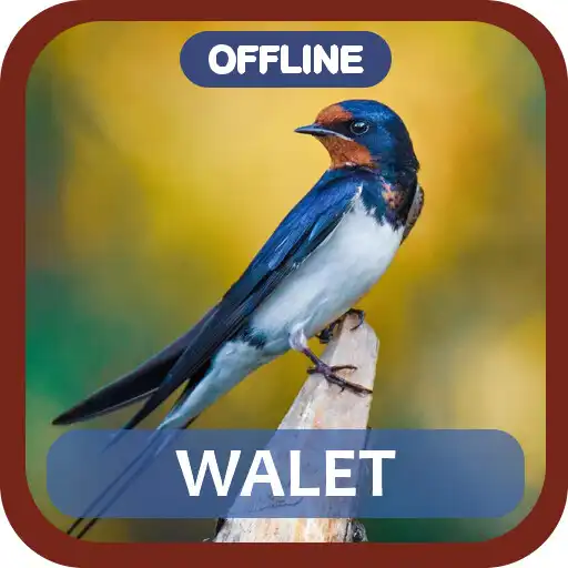 Play Suara Pikat Walet Panggil Inap APK