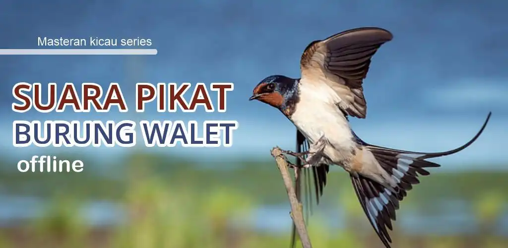 Play Suara Pikat Walet Panggil Inap  and enjoy Suara Pikat Walet Panggil Inap with UptoPlay