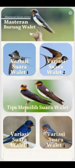 Play Suara Pikat Walet Panggil Inap as an online game Suara Pikat Walet Panggil Inap with UptoPlay