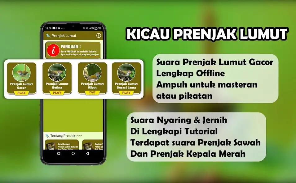 Play Suara Prenjak Lumut Gacor  and enjoy Suara Prenjak Lumut Gacor with UptoPlay