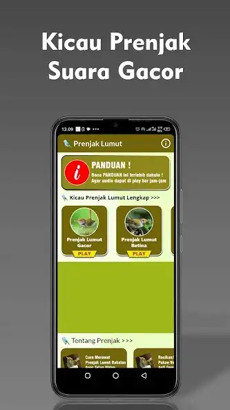 Play Suara Prenjak Lumut Gacor as an online game Suara Prenjak Lumut Gacor with UptoPlay