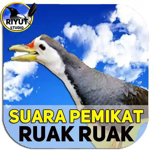 Play Suara Ruak Ruak Pikat Ampuh APK