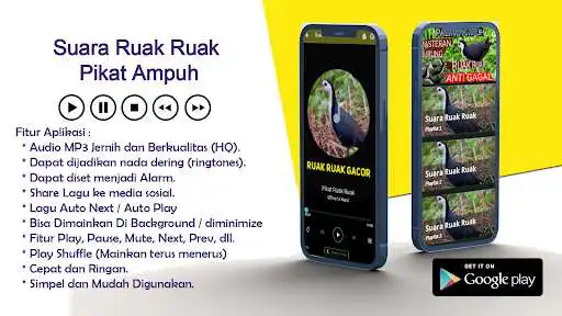 Play Suara Ruak Ruak Pikat Ampuh as an online game Suara Ruak Ruak Pikat Ampuh with UptoPlay