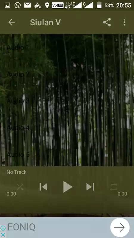 Play Suara Siulan Mp3