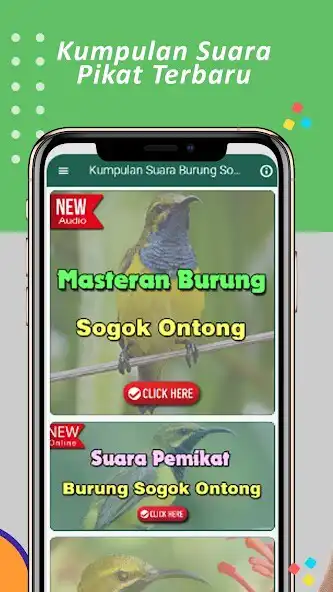 Play Suara Sogok Ontong Pikat Mp3  and enjoy Suara Sogok Ontong Pikat Mp3 with UptoPlay