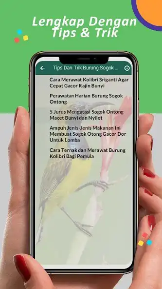 Play Suara Sogok Ontong Pikat Mp3 as an online game Suara Sogok Ontong Pikat Mp3 with UptoPlay
