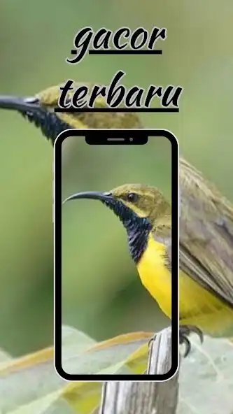 Play Suara Sogok Ontong Pikat as an online game Suara Sogok Ontong Pikat with UptoPlay