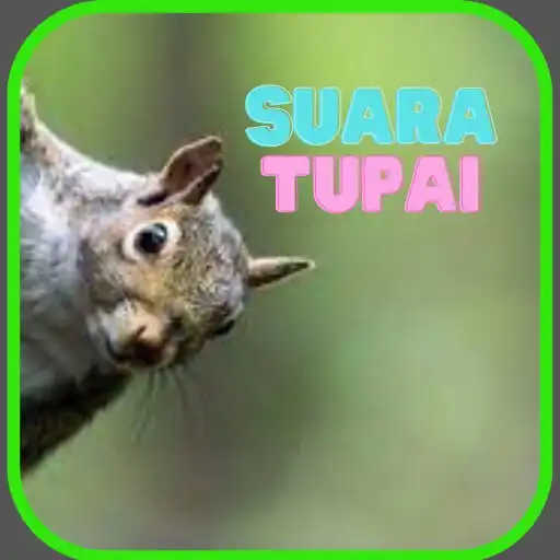Play Suara Tupai Di Alam APK