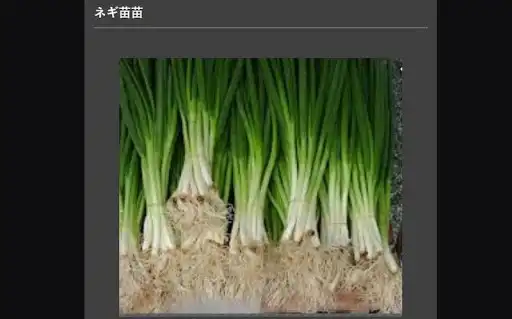 Play Successful cultivation of leeks  and enjoy Successful cultivation of leeks with UptoPlay