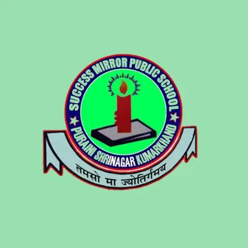 Play Success Mirror Public School APK