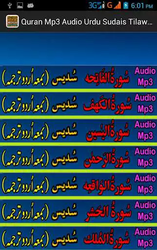 Play Sudes Urdu Quran Audio Tilawat