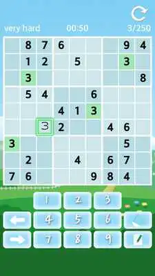 Play Sudoku Puzzle