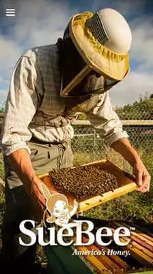 Play Sue Bee Honey