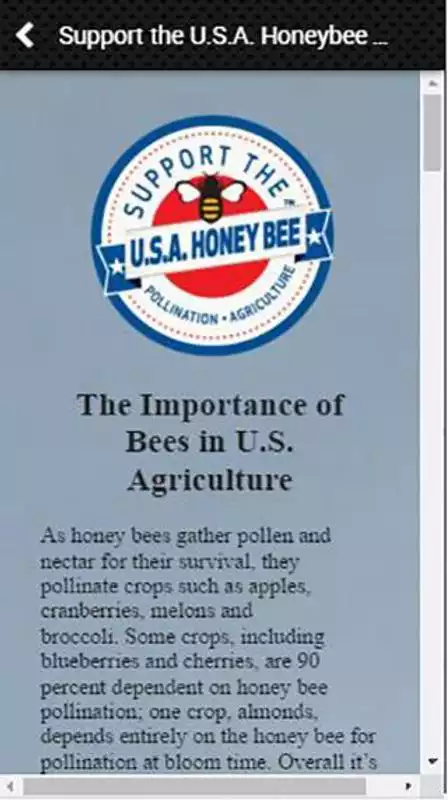 Play Sue Bee Honey