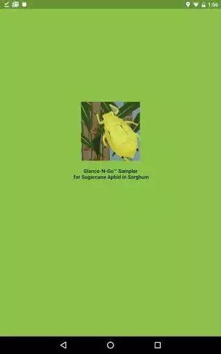 Play Sugarcane Aphid Glance N Go  and enjoy Sugarcane Aphid Glance N Go with UptoPlay