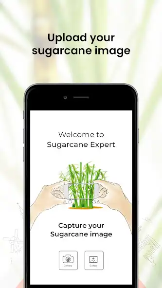 Play Sugarcane Expert as an online game Sugarcane Expert with UptoPlay