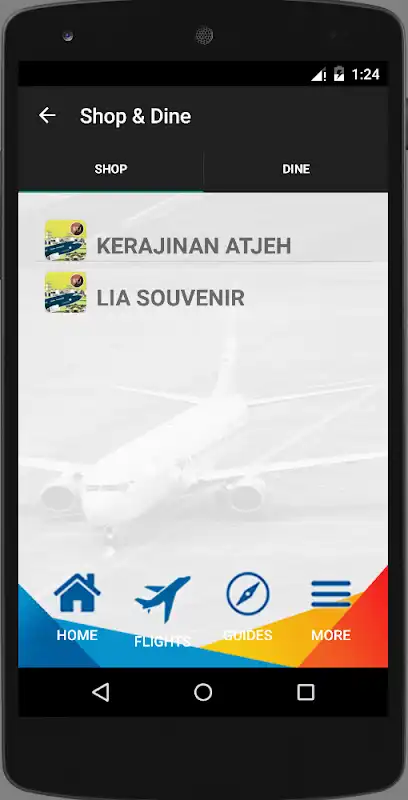 Play Sultan Iskandar Muda Airport