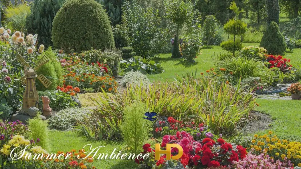 Play Summer Ambience HD  and enjoy Summer Ambience HD with UptoPlay